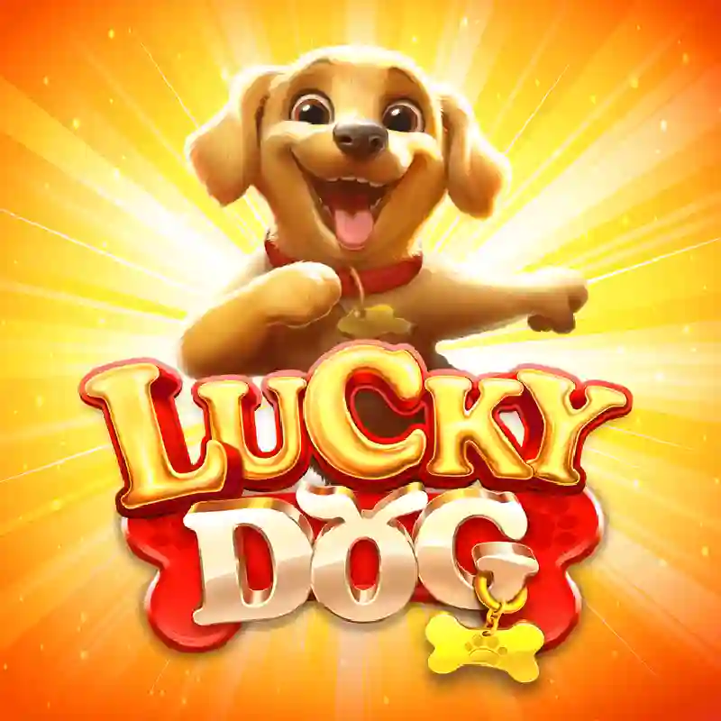 Lucky Dog Casino México
